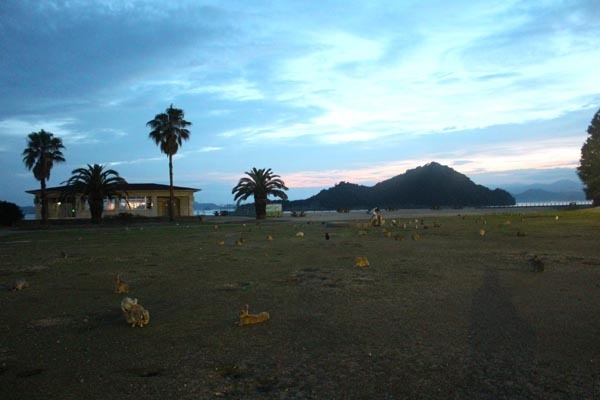 17.JPG