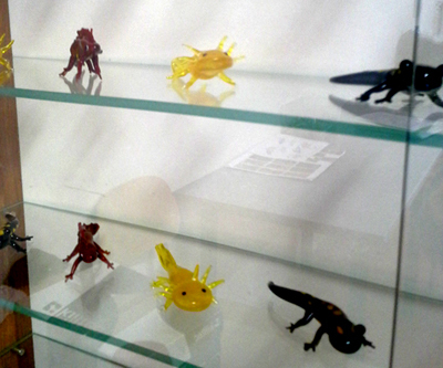20160420_123738.jpg