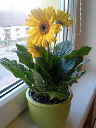 20161121_153145.jpg