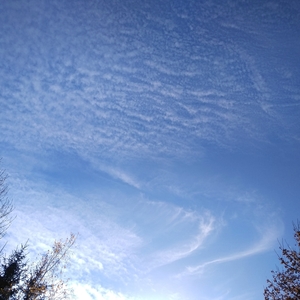 20201120123813947.jpg