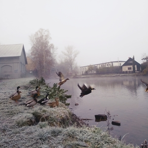 20201126002855676.jpg