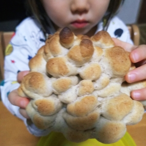 20201225210450728.jpg