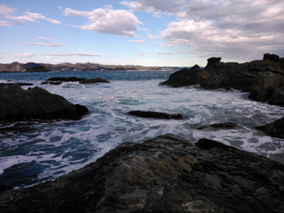 DSC_0704.jpg