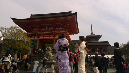 IMG_20131102_123720.jpg