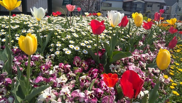IMG_20140408_122200.jpg