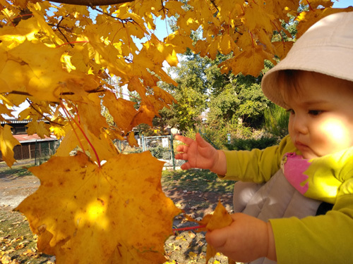 IMG_20181016_153025.jpg