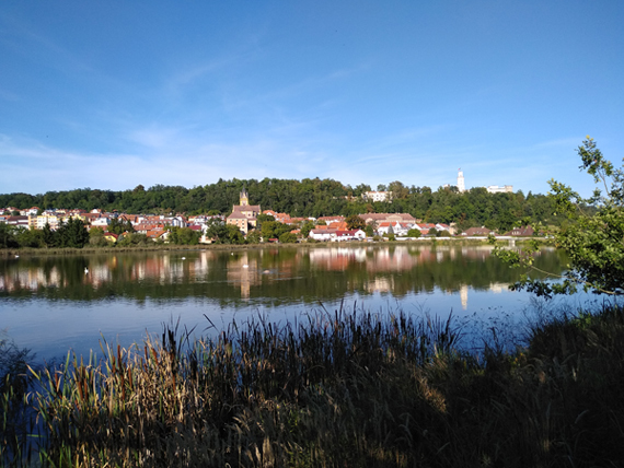 IMG_20190915_164258.jpg
