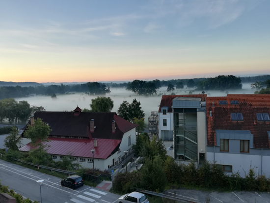 IMG_20190916_064904.jpg