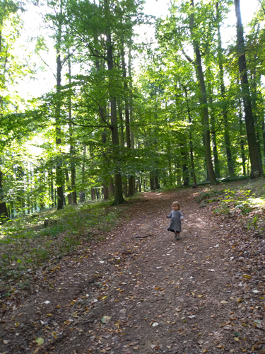 IMG_20190916_103749.jpg