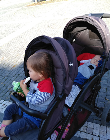 IMG_20191014_132218.jpg