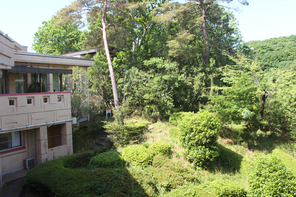 building.jpg
