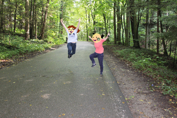 forest.jpg