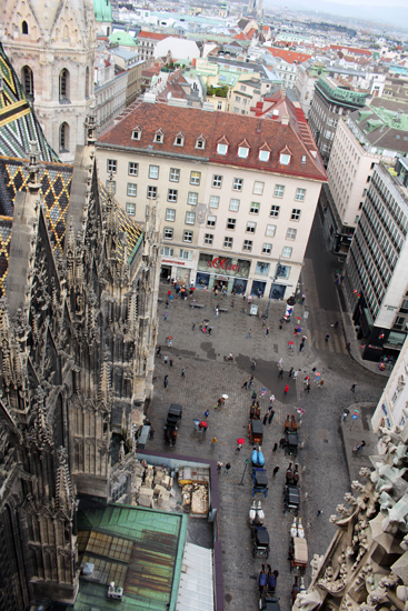 view3.jpg