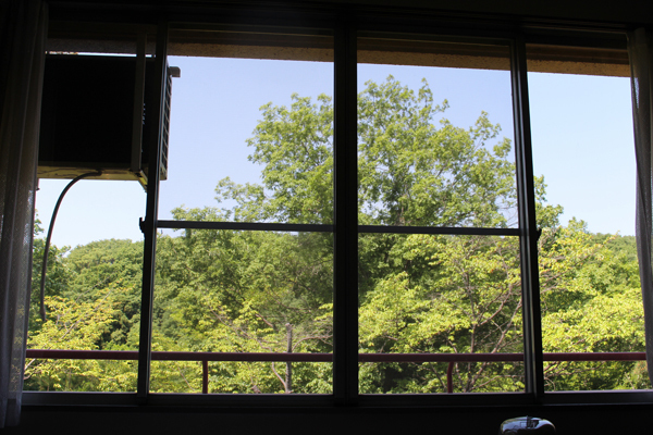window.jpg